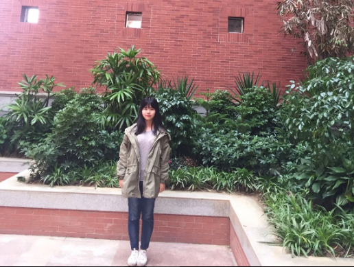 球王会平台